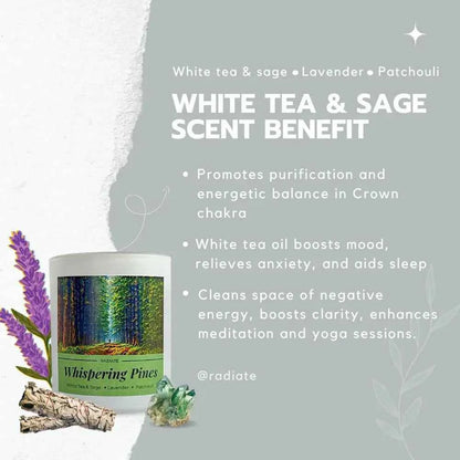 Whispering Pines- White Tea, Sage & Patchouli Soy Wax Scented Candle